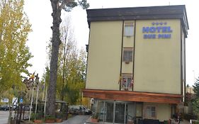 Hotel Due Pini
